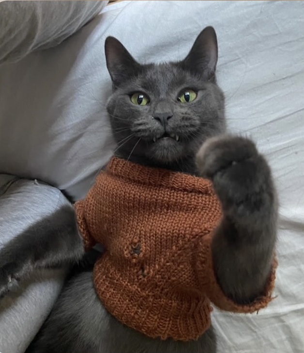 Kenny - Intestinal issues