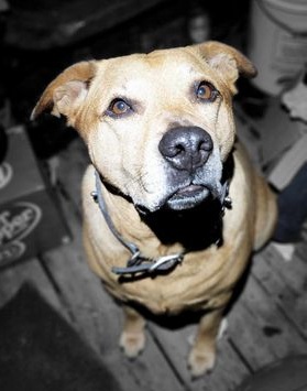 Tyde - Broken toenail